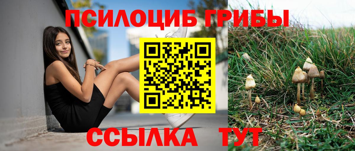 Псилоцибиновые грибы GOLDEN TEACHER  Вход с VPN  Ачхой-Мартан 